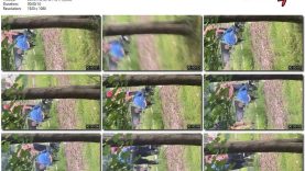 6da12aac-43fd-11f0-893b-0800275bf759