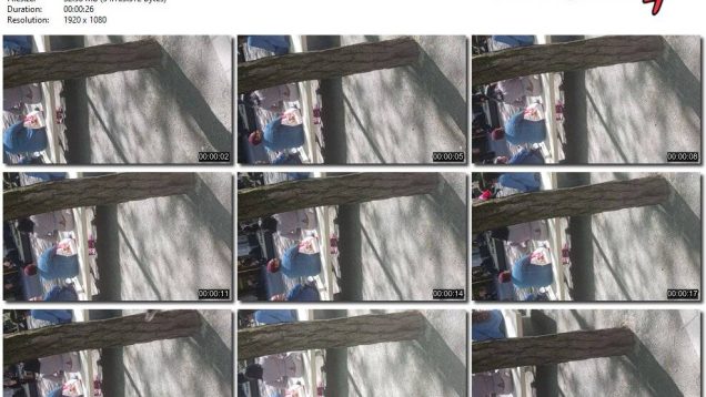 7f8ee3ee-43f8-11f0-893b-0800275bf759