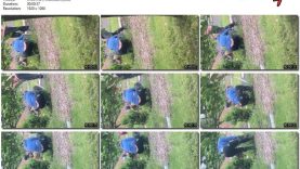 8817f0aa-43fd-11f0-893b-0800275bf759