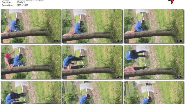 8dc653ac-43fd-11f0-893b-0800275bf759