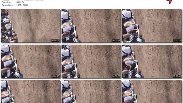 c9240124-43f8-11f0-893b-0800275bf759