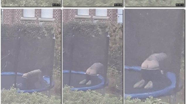 d7a6aa36-43f7-11f0-893b-0800275bf759