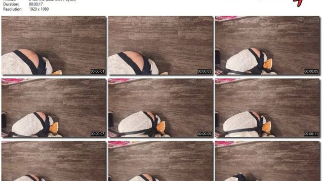 071f6c94-9588-11f0-af38-0800275bf759