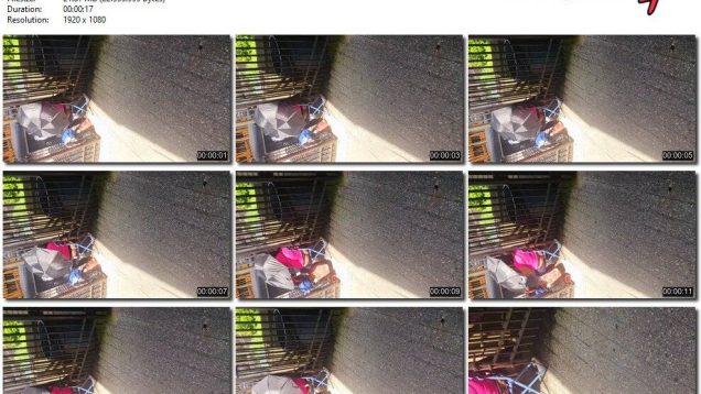 0a12002e-9588-11f0-af38-0800275bf759