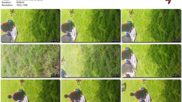 20e156ba-9588-11f0-af38-0800275bf759