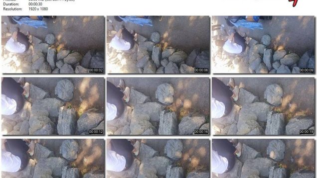 363c1252-9588-11f0-af38-0800275bf759