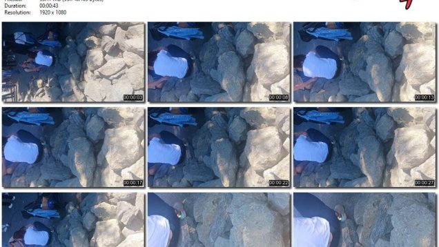 55fabce2-9588-11f0-af38-0800275bf759