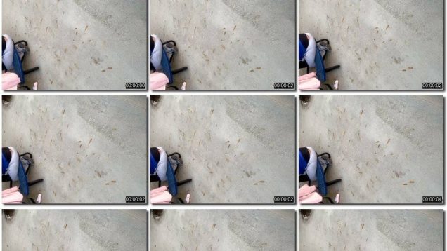 566d6154-9586-11f0-af38-0800275bf759