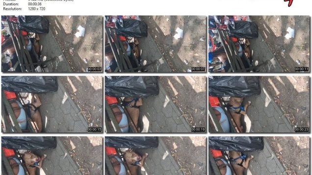 5e0419a6-9588-11f0-af38-0800275bf759