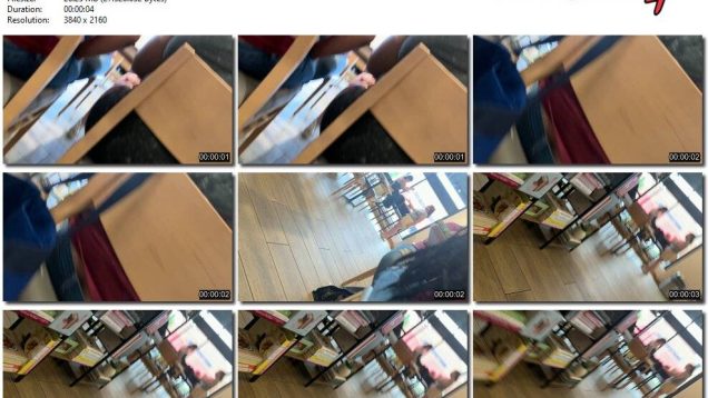 5e50051c-958a-11f0-af38-0800275bf759