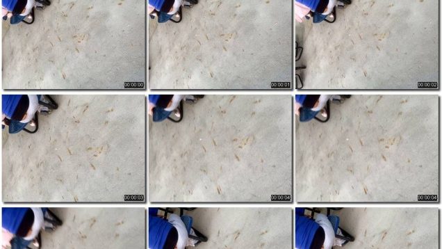 611a8e74-9586-11f0-af38-0800275bf759