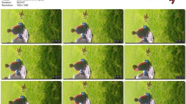 689f0966-9588-11f0-af38-0800275bf759