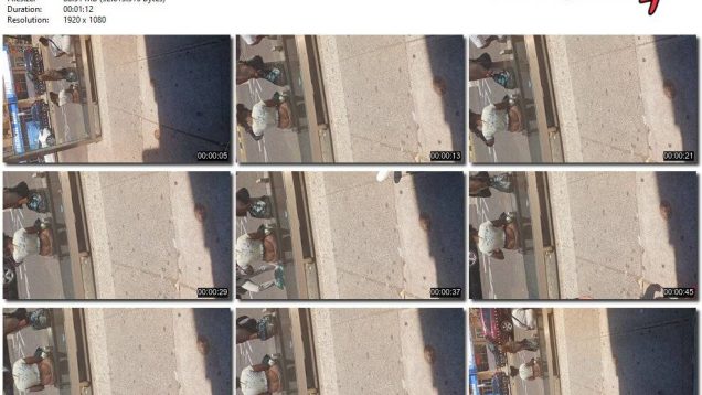 6c5fedae-9588-11f0-af38-0800275bf759