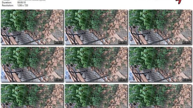 7caba25a-958a-11f0-af38-0800275bf759