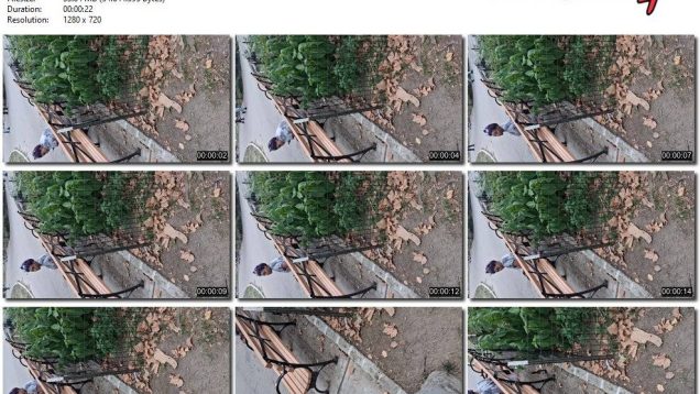 82965070-958a-11f0-af38-0800275bf759