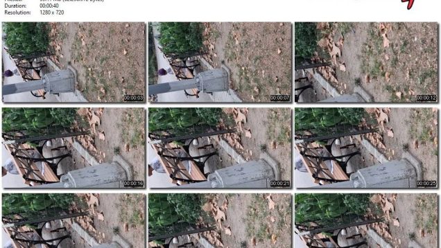 8549fac4-958a-11f0-af38-0800275bf759