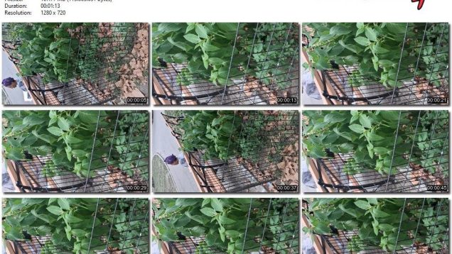 88ff7ff4-958a-11f0-af38-0800275bf759