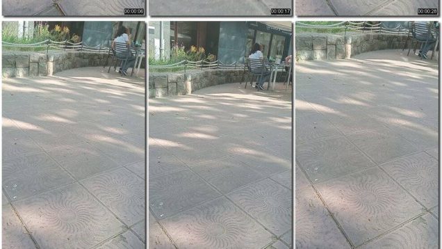 8b9c28a2-958a-11f0-af38-0800275bf759