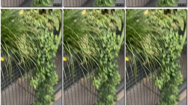 967f3e50-9588-11f0-af38-0800275bf759