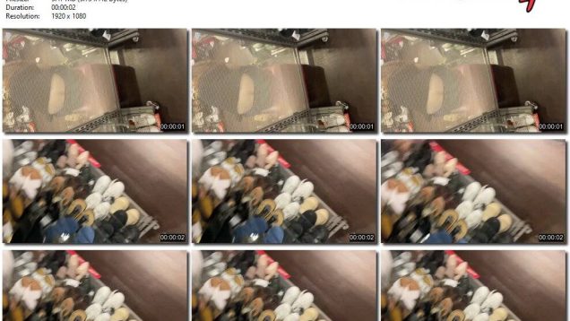 b6a93b5e-9588-11f0-af38-0800275bf759