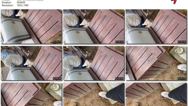 b8a311d8-9587-11f0-af38-0800275bf759