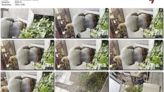 c61a94a6-9589-11f0-af38-0800275bf759