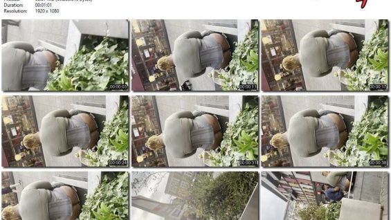 c61a94a6-9589-11f0-af38-0800275bf759