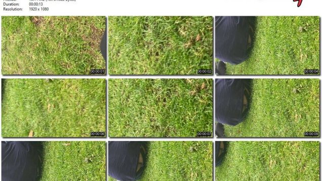 c8e60c66-9588-11f0-af38-0800275bf759