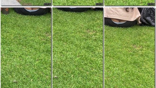 f6c79154-9588-11f0-af38-0800275bf759