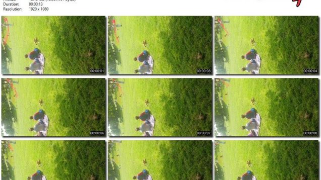 f8214e56-9587-11f0-af38-0800275bf759