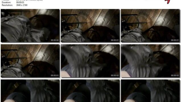 2f631e24-ec8d-11f0-8055-0800275bf759