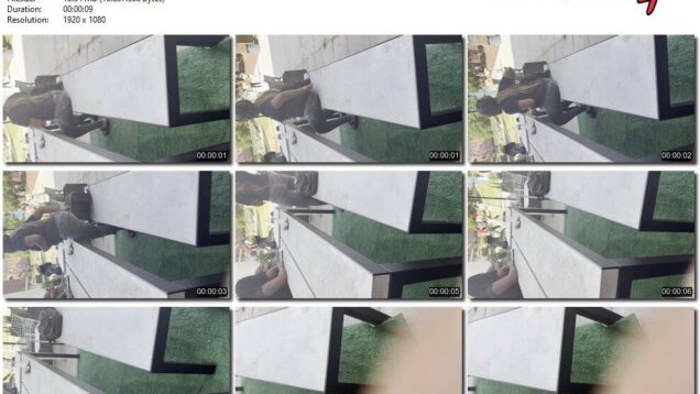 32e93696-ec8d-11f0-8055-0800275bf759