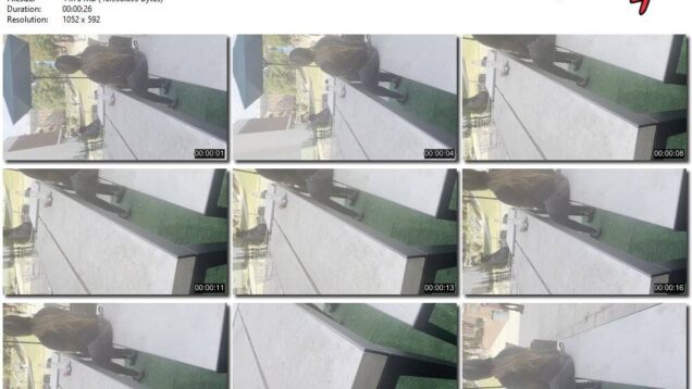 3b25487c-ec8d-11f0-8055-0800275bf759