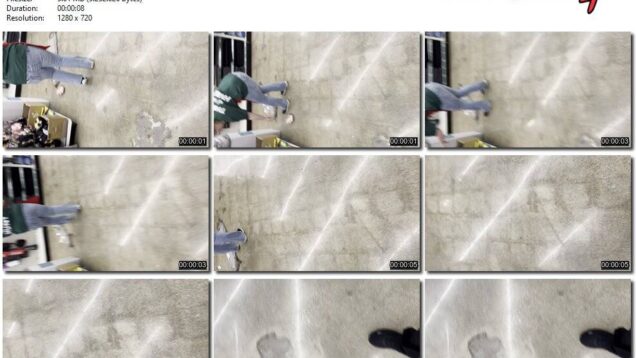 50d704aa-ec8b-11f0-8055-0800275bf7591