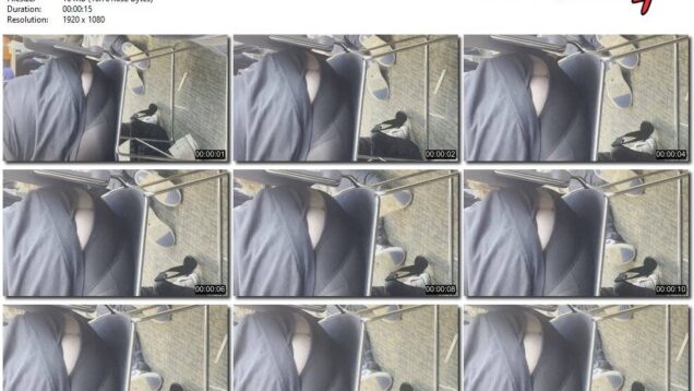 600f11fe-ec8d-11f0-8055-0800275bf759