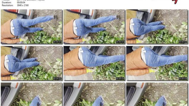 917ccf9e-ec8b-11f0-8055-0800275bf7591