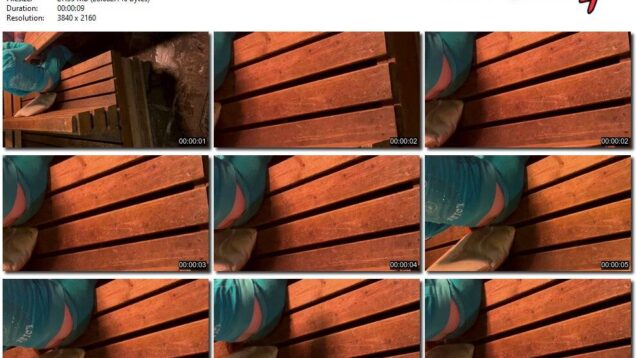 9a802e86-ec8d-11f0-8055-0800275bf759