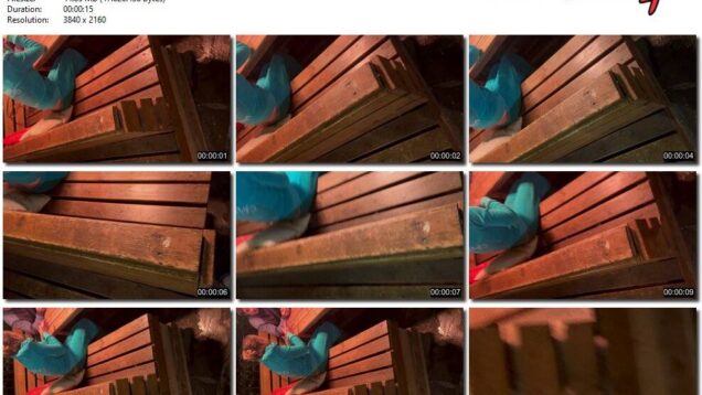 a50e33f2-ec8d-11f0-8055-0800275bf759