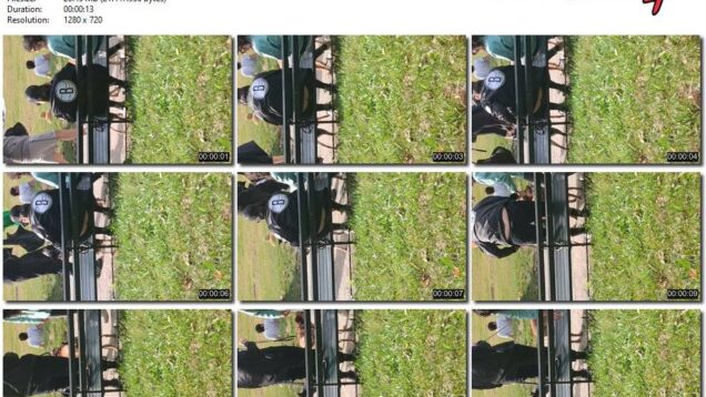 ab256380-ec8a-11f0-8055-0800275bf7591