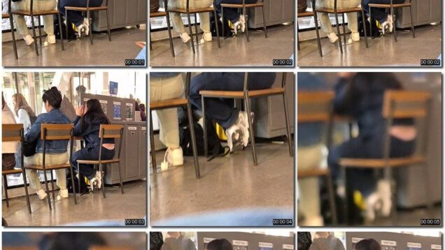 c5b6a256-ec8d-11f0-8055-0800275bf759