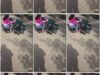 8fa5dc90-435e-11f1-986f-0800275bf759