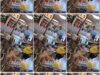 9fbf267c-435e-11f1-986f-0800275bf759