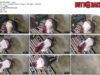 10ddcc06-abaf-11f1-986f-0800275bf759