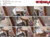 1373d140-abaf-11f1-986f-0800275bf759