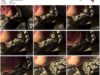158bf0ce-abab-11f1-986f-0800275bf759