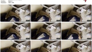 21e50d38-abab-11f1-986f-0800275bf759