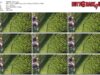 4b87afae-abad-11f1-986f-0800275bf759
