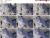 57a4ccce-abab-11f1-986f-0800275bf759