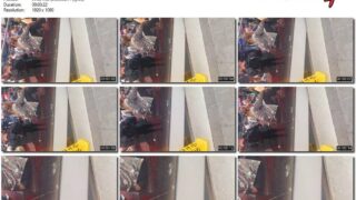 6153fd10-abad-11f1-986f-0800275bf759