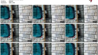 62c59d7e-abae-11f1-986f-0800275bf759